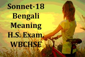 quiver meaning in bengali
